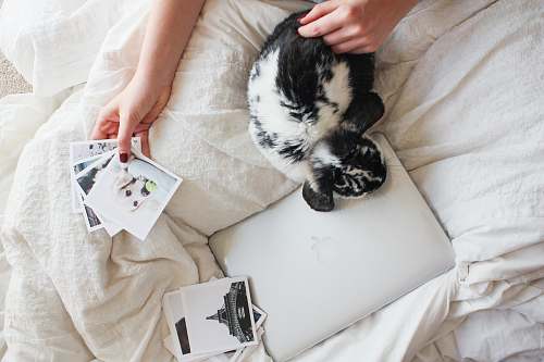 work from home person holding photographs bed